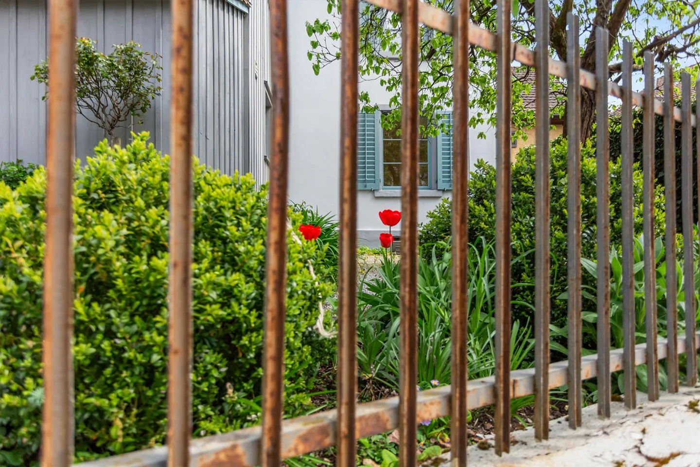 Renovation-Required 2-Family House in the Heart of Wülflingen - Photo 12 of 13
