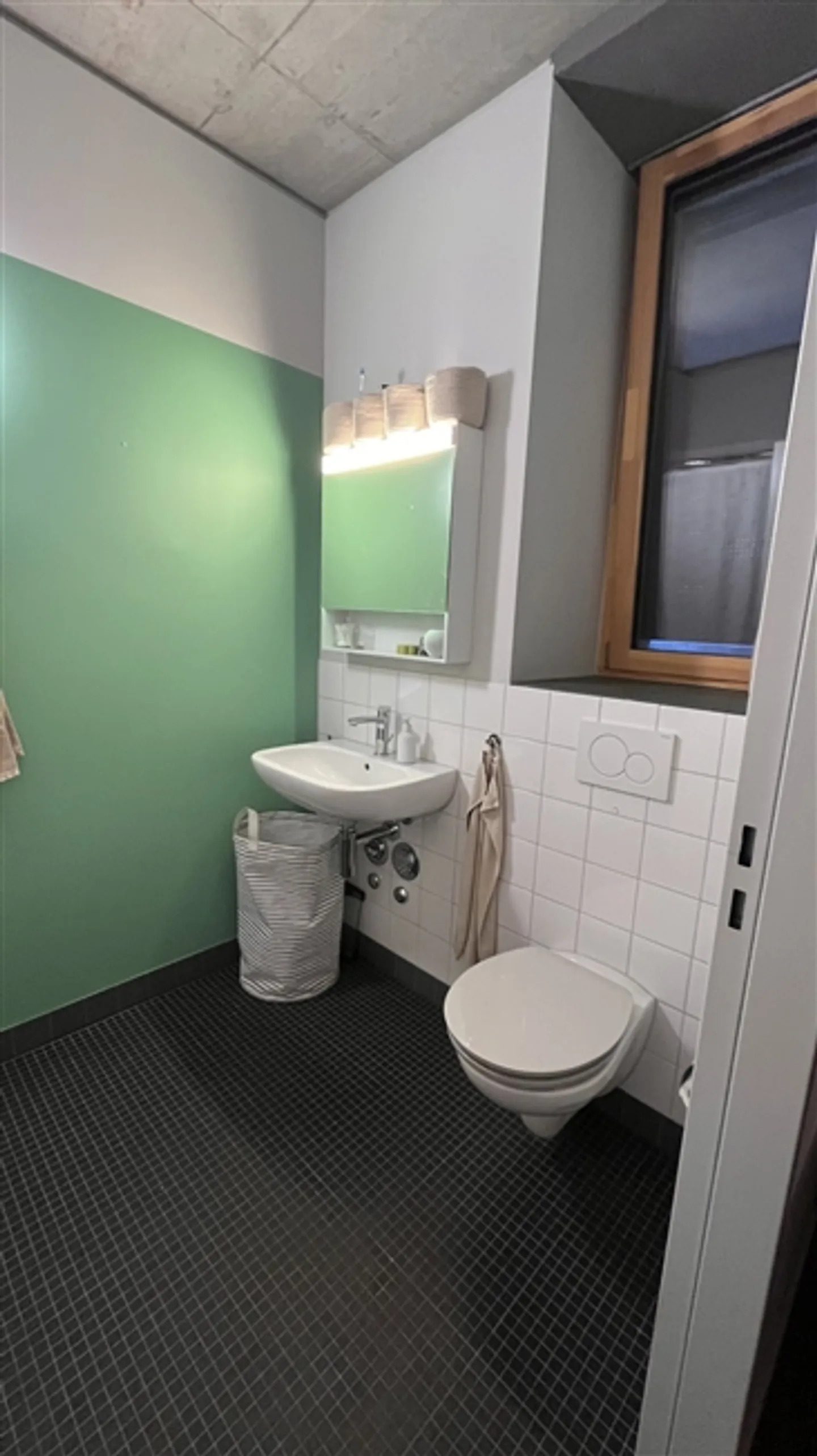 "2-room apartment in Schlieren (ZH), furnished, temporary" - Photo 7 of 10