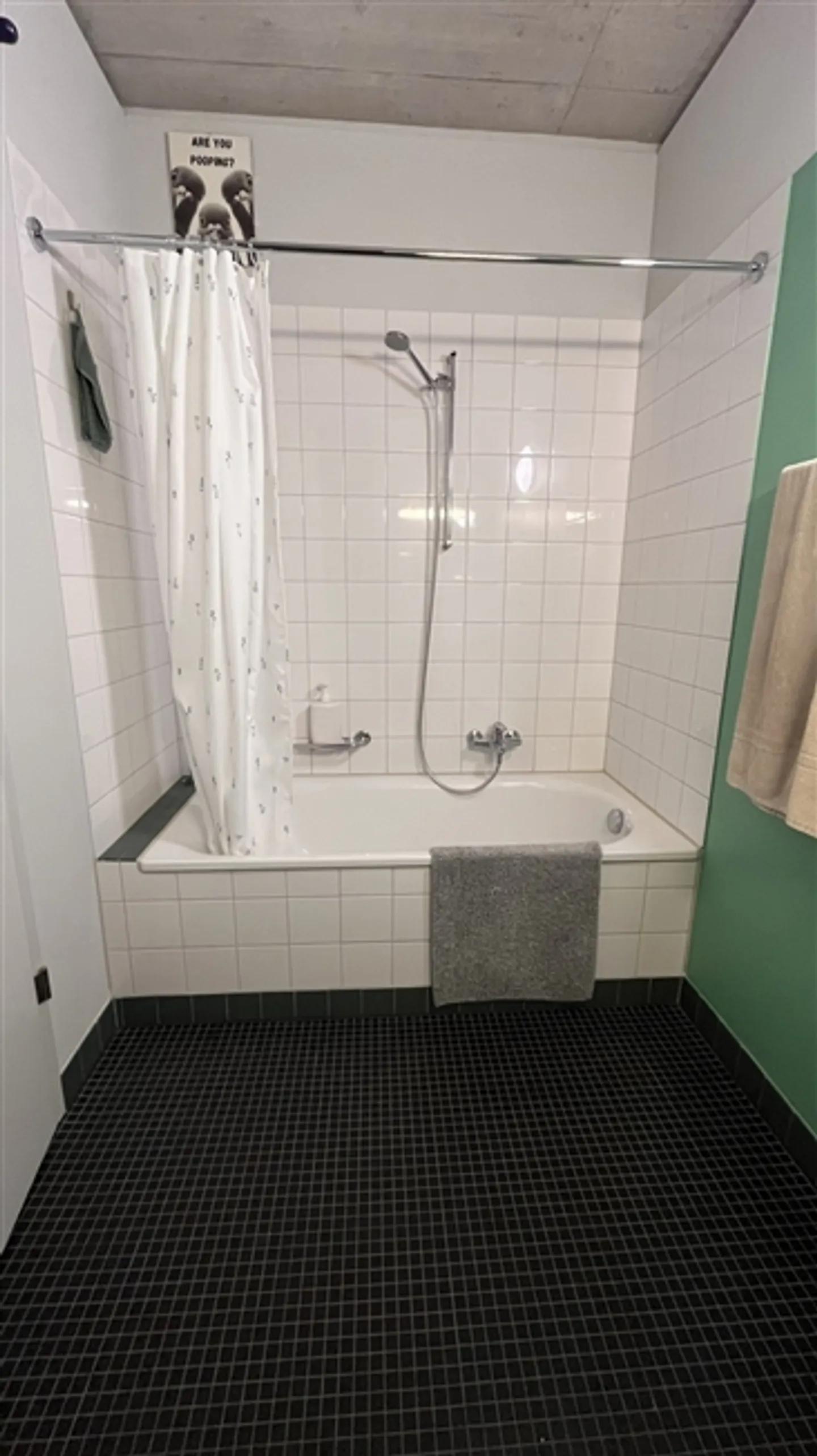 "2-room apartment in Schlieren (ZH), furnished, temporary" - Photo 8 of 10