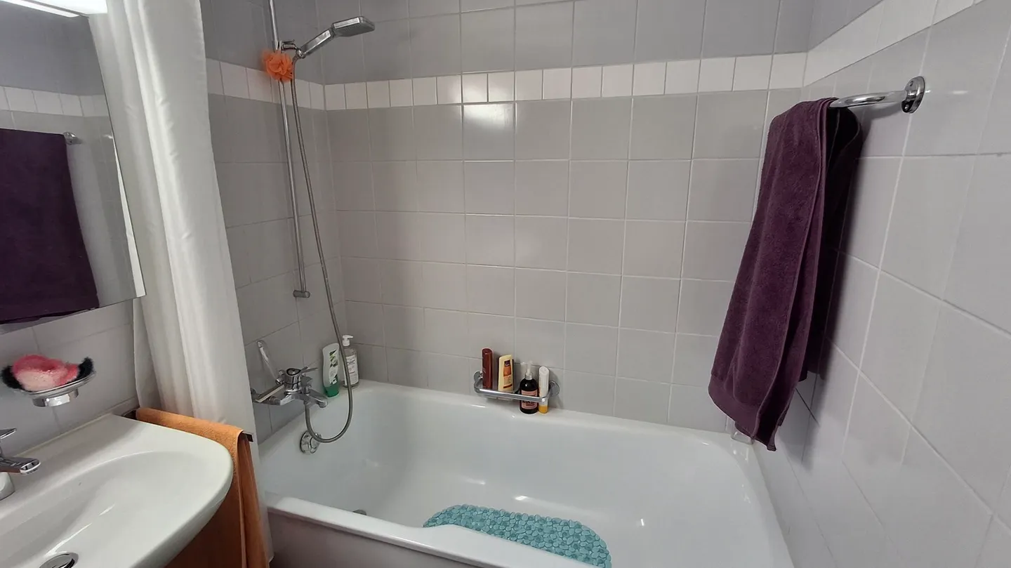 Möblierte Wohnung in Luzern - Foto 6 von 8