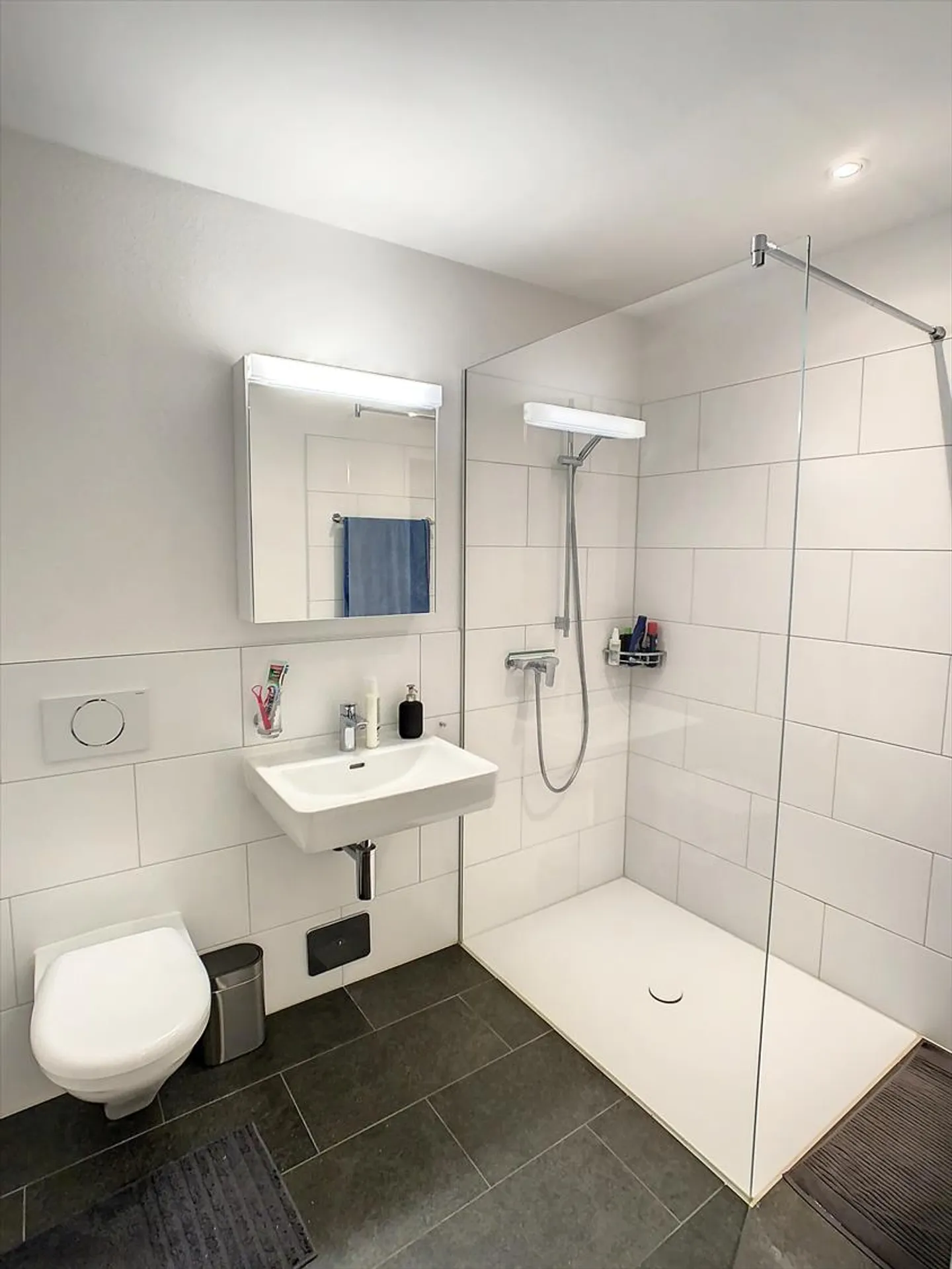 Appartement 3.5 pièces - Photo 4 sur 8
