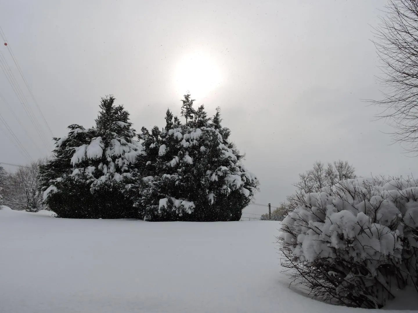 Charmantes Naturhaus - Foto 7 von 8