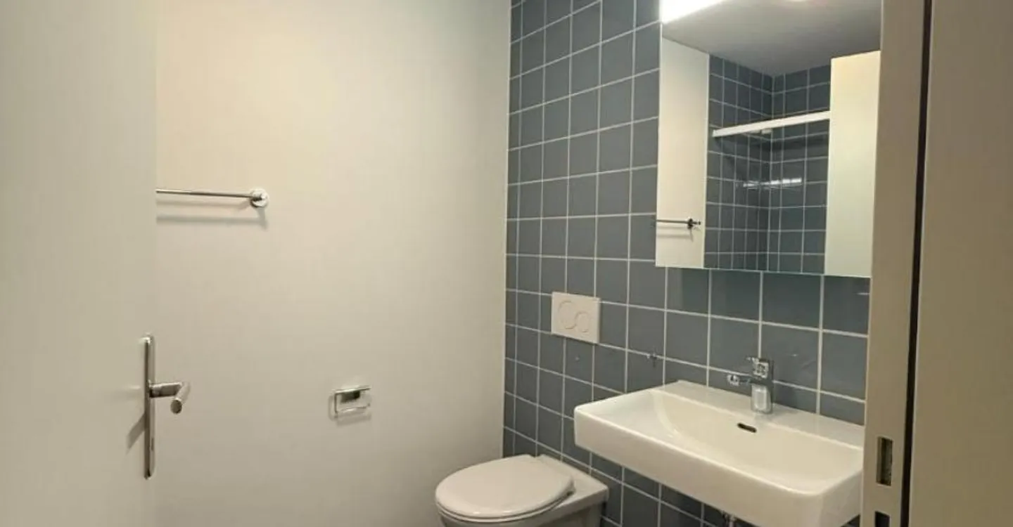 Modern Living in Horgen Oberdorf! - Photo 2 of 4