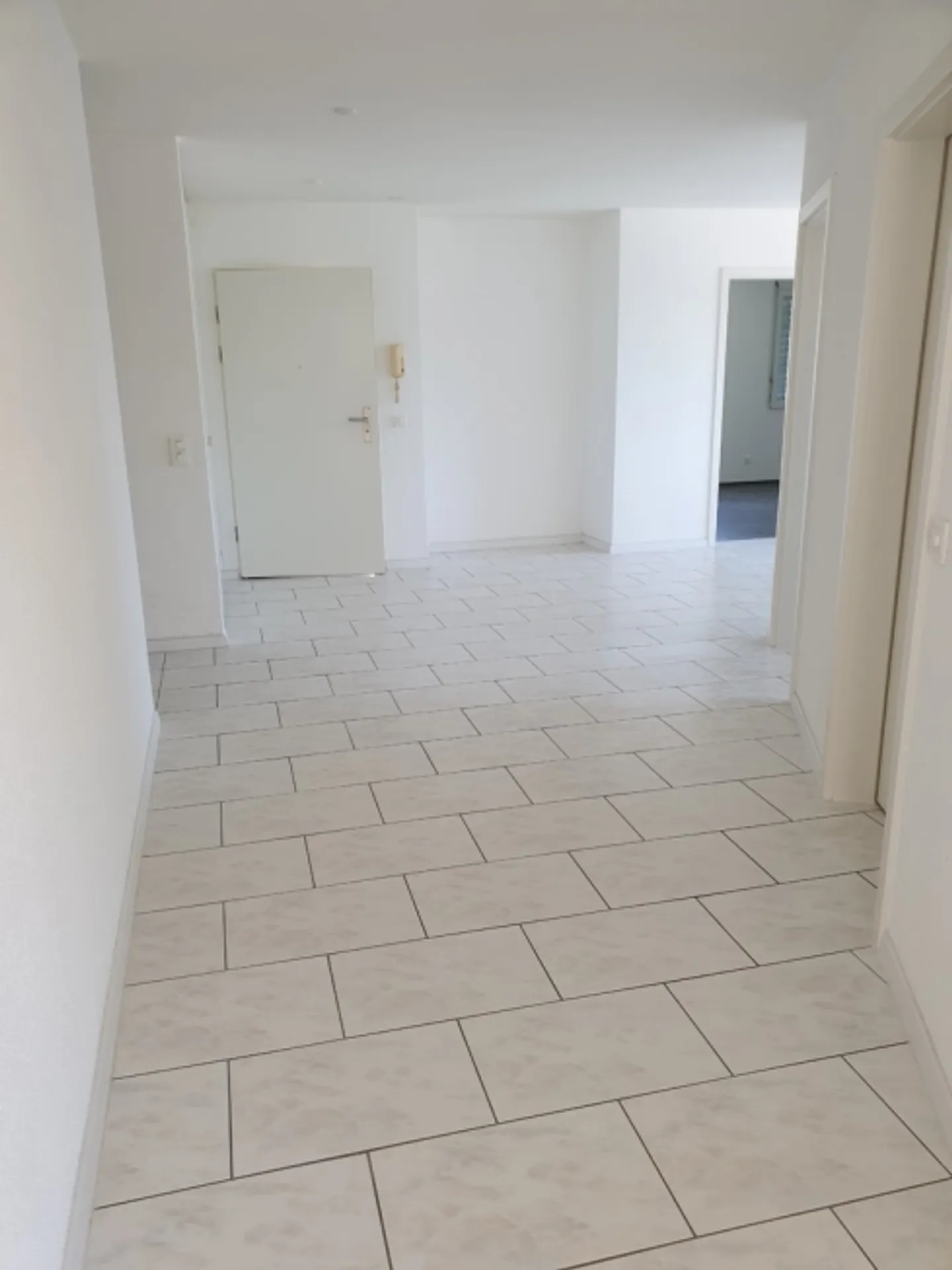 Very beautiful and bright apartment with a large terrace! - Photo 4 of 14