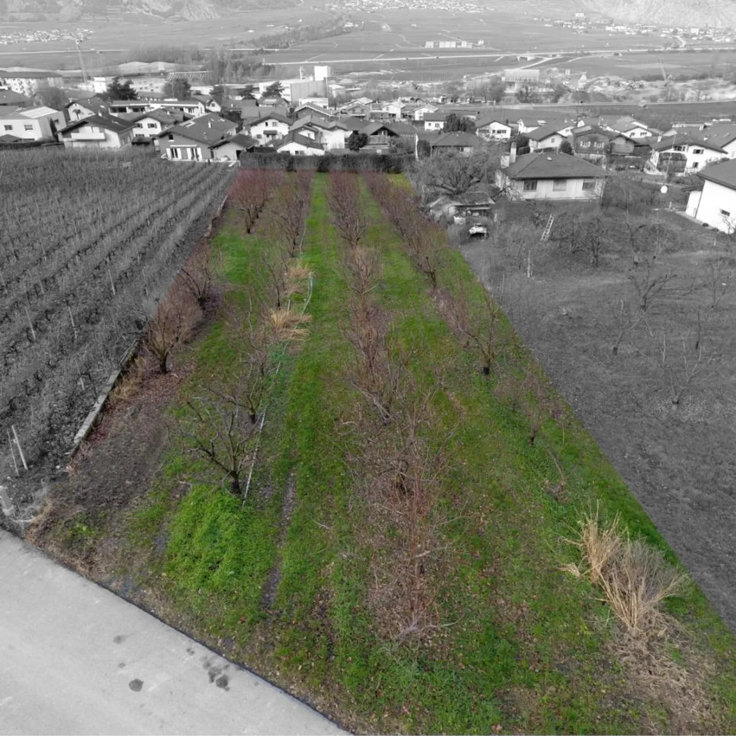 Building plot for sale in Riddes - Photo 4 of 4
