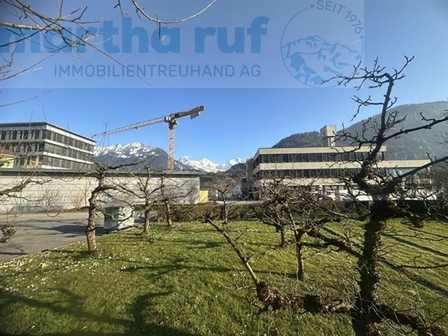 5.5-Room Semi-Detached House with a Panorama of the Jungfrau Massif - Photo 6 of 7