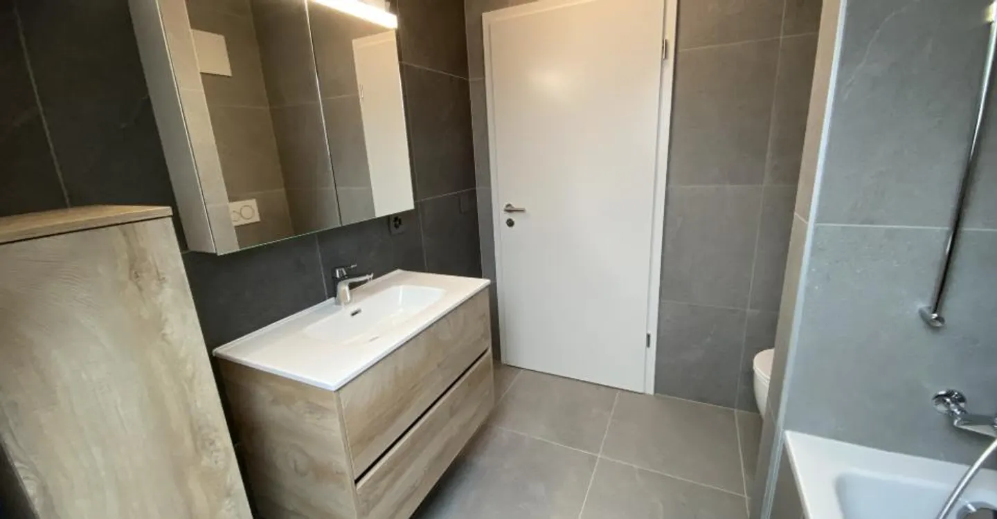 Doppelhaushälfte 5.5 Zimmer - Foto 9 von 11