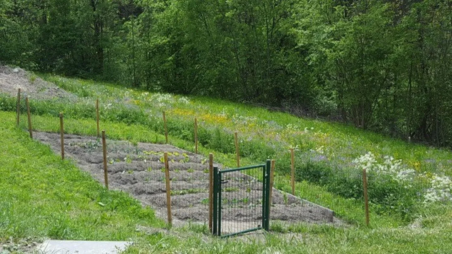 4,5-Zimmer-Wohnung - Foto 9 von 9