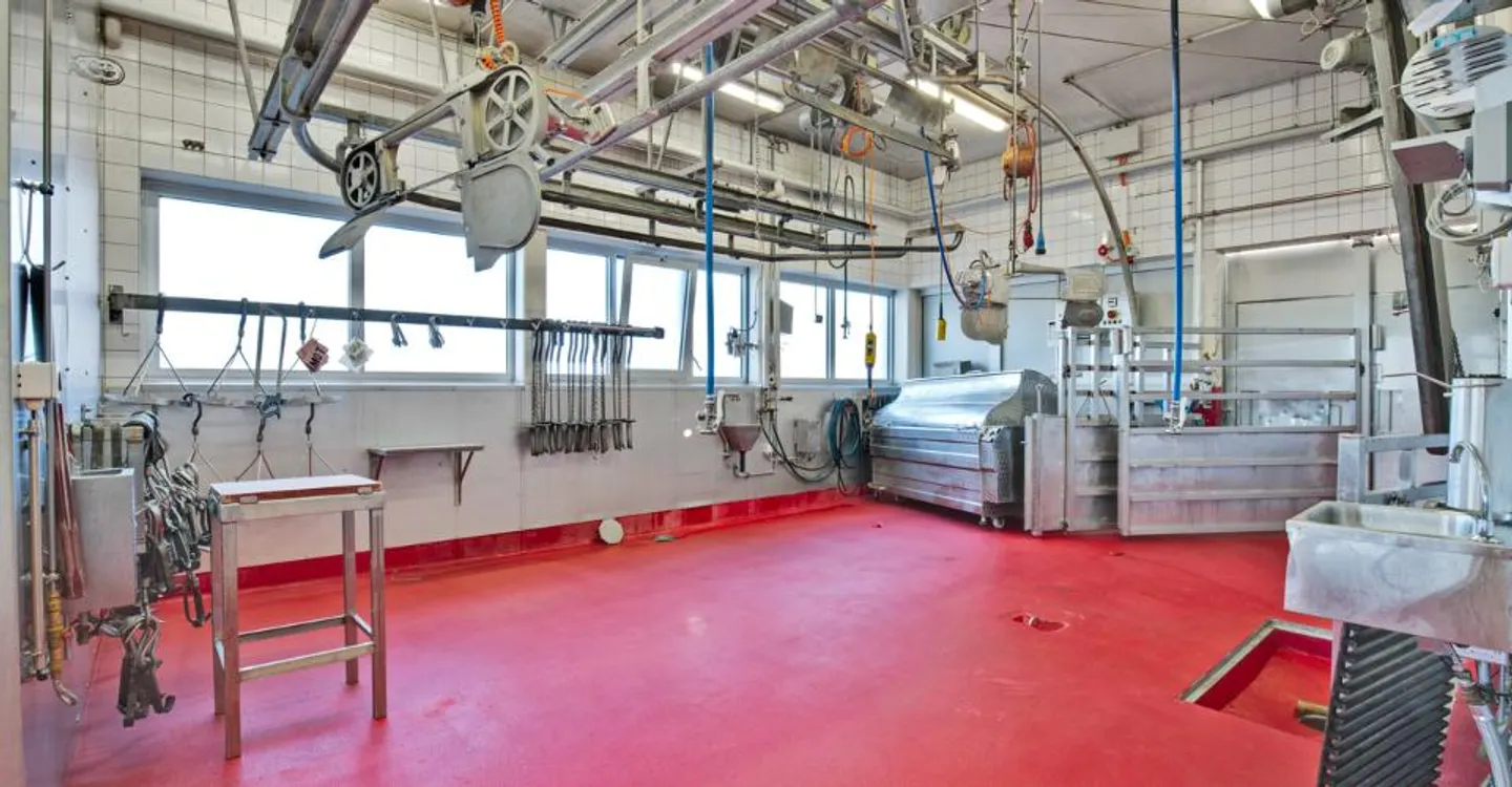 Estavayer-le-Lac, for sale, industrial and artisanal building of 200 m2 - Photo 4 of 8