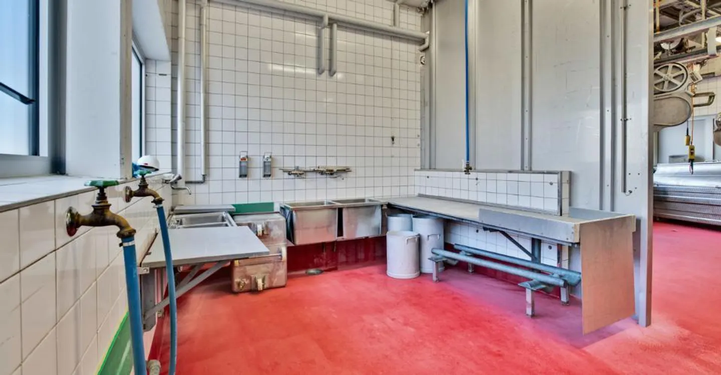 Estavayer-le-Lac, for sale, industrial and artisanal building of 200 m2 - Photo 6 of 8