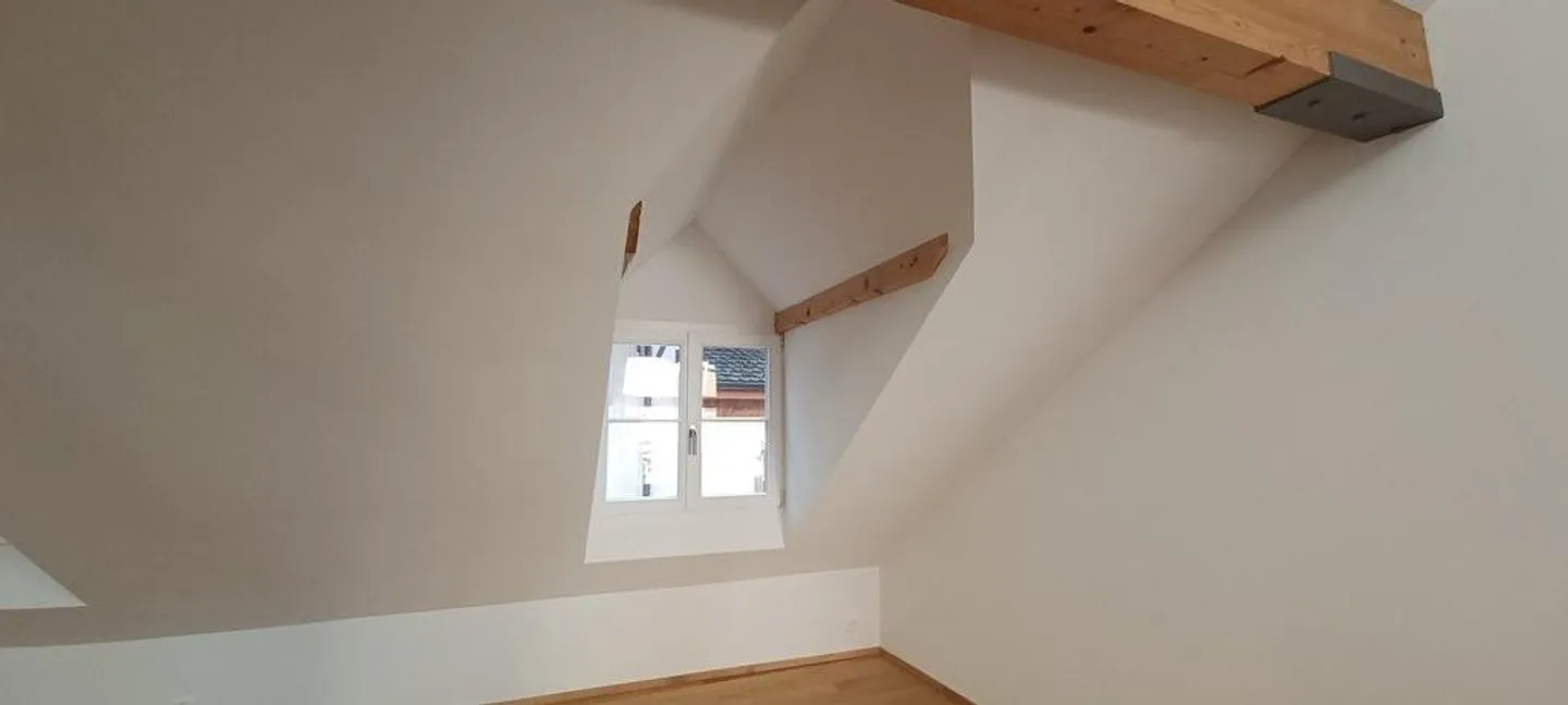 Exclusive Maisonette Apartment in Historic Old Town House in Kleinbasel - Photo 6 of 12