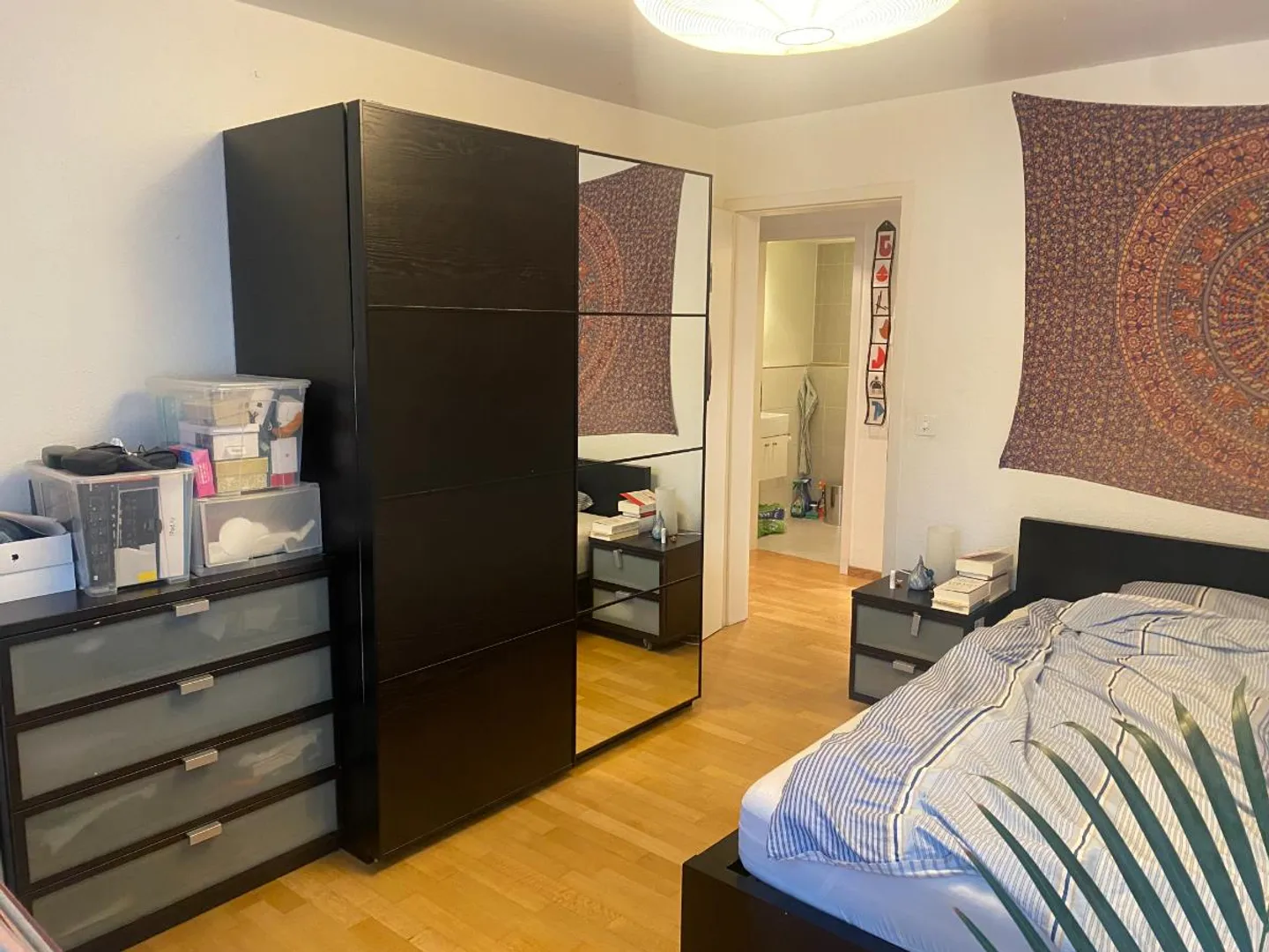 2.5 Room Apartment - Photo 4 of 5