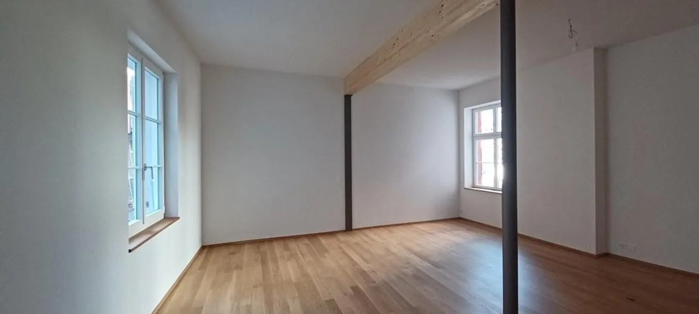 Exclusive Maisonette Apartment in Historic Old Town House in Kleinbasel - Photo 10 of 12