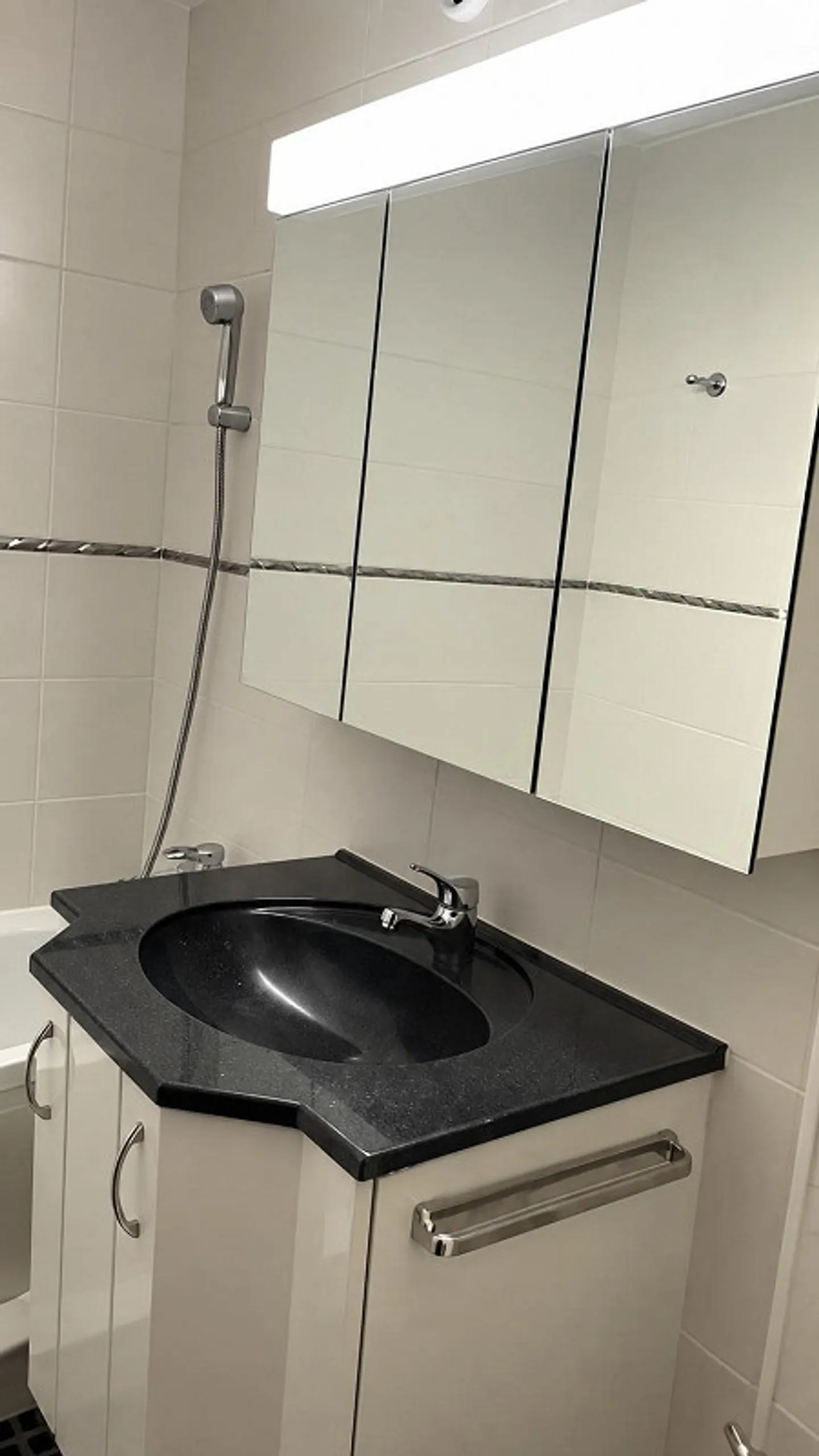 Appartement à Weiningen ZH - Photo 3 sur 10