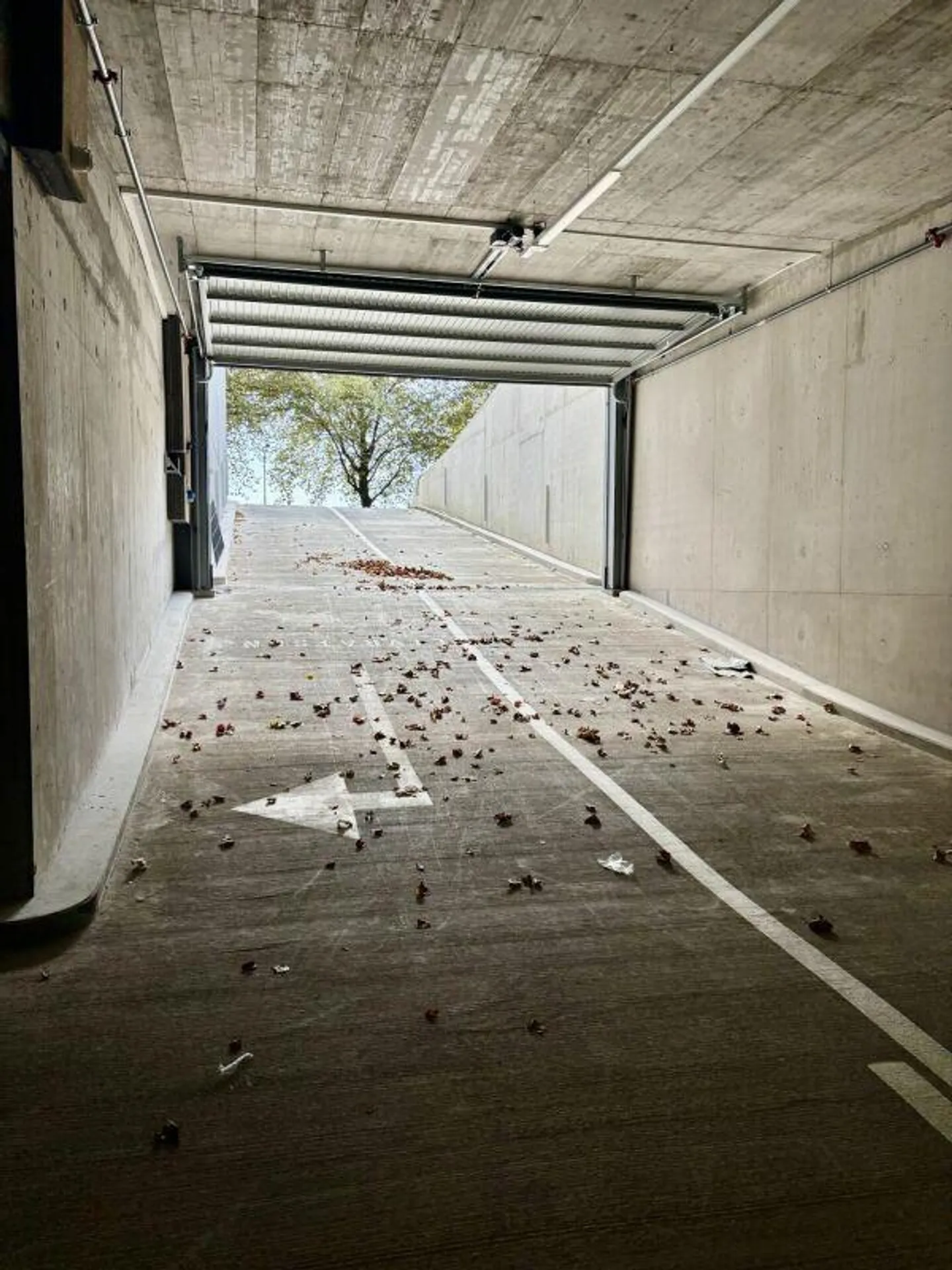 Spazio di stoccaggio, depositi, logistica, laboratorio, produzione in affitto... - Foto 3 di 4