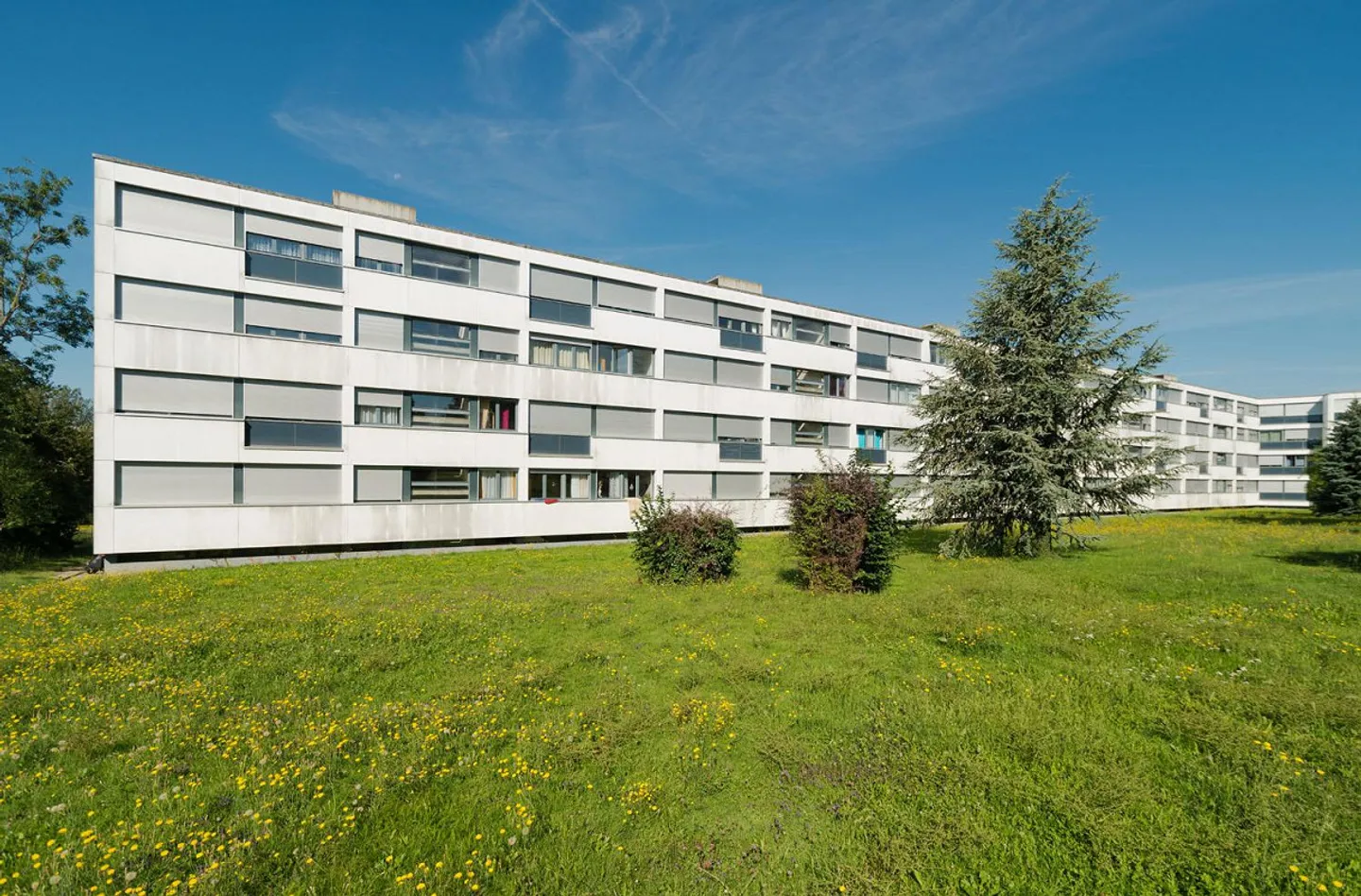 Funktionales Depot im Viertel Grand-Saconnex - Foto 1 von 1