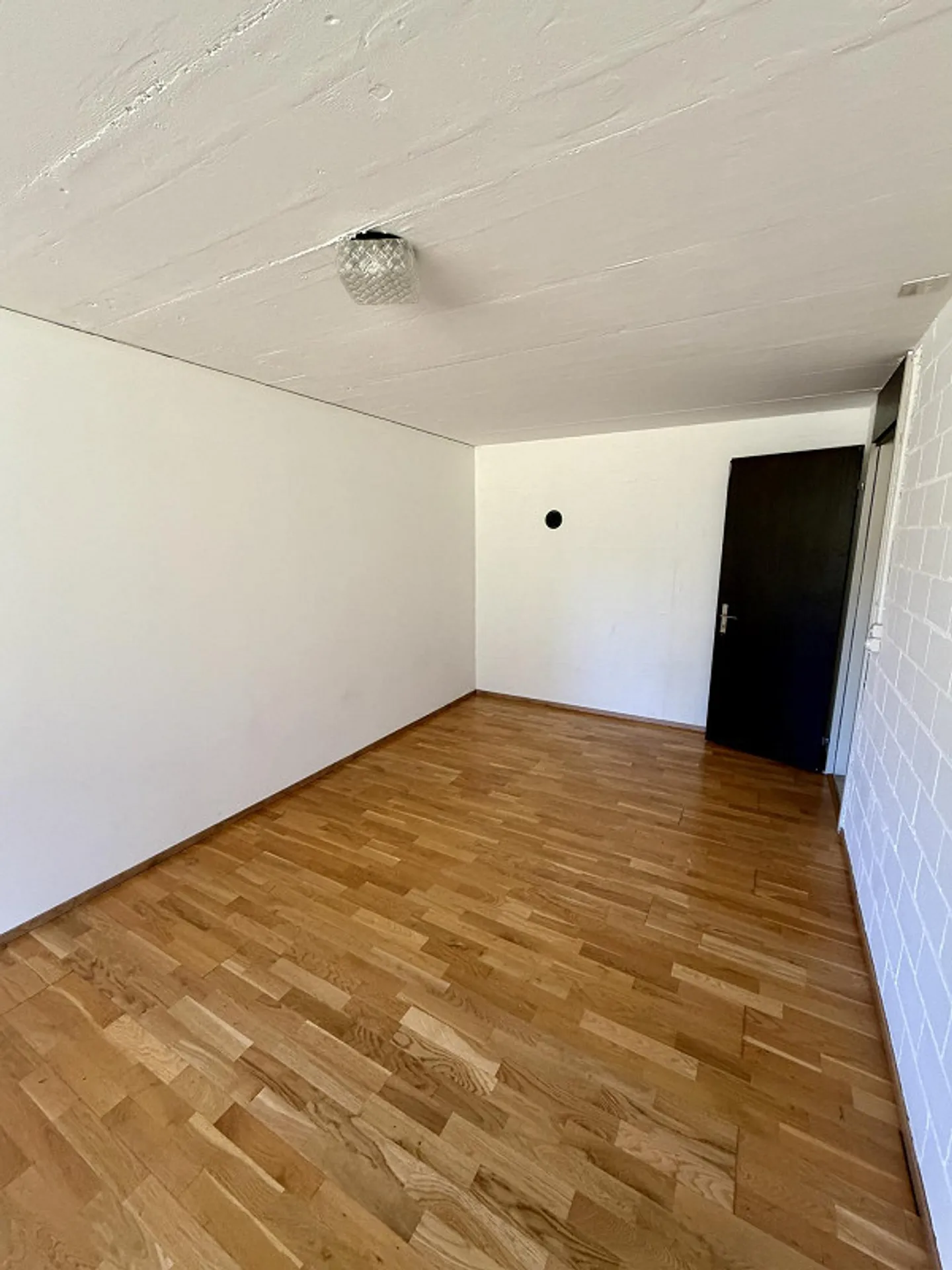 Appartamento Attico 3.5 stanze - Ristrutturato nel 2026 con grande terrazza circondata - Foto 15 di 18