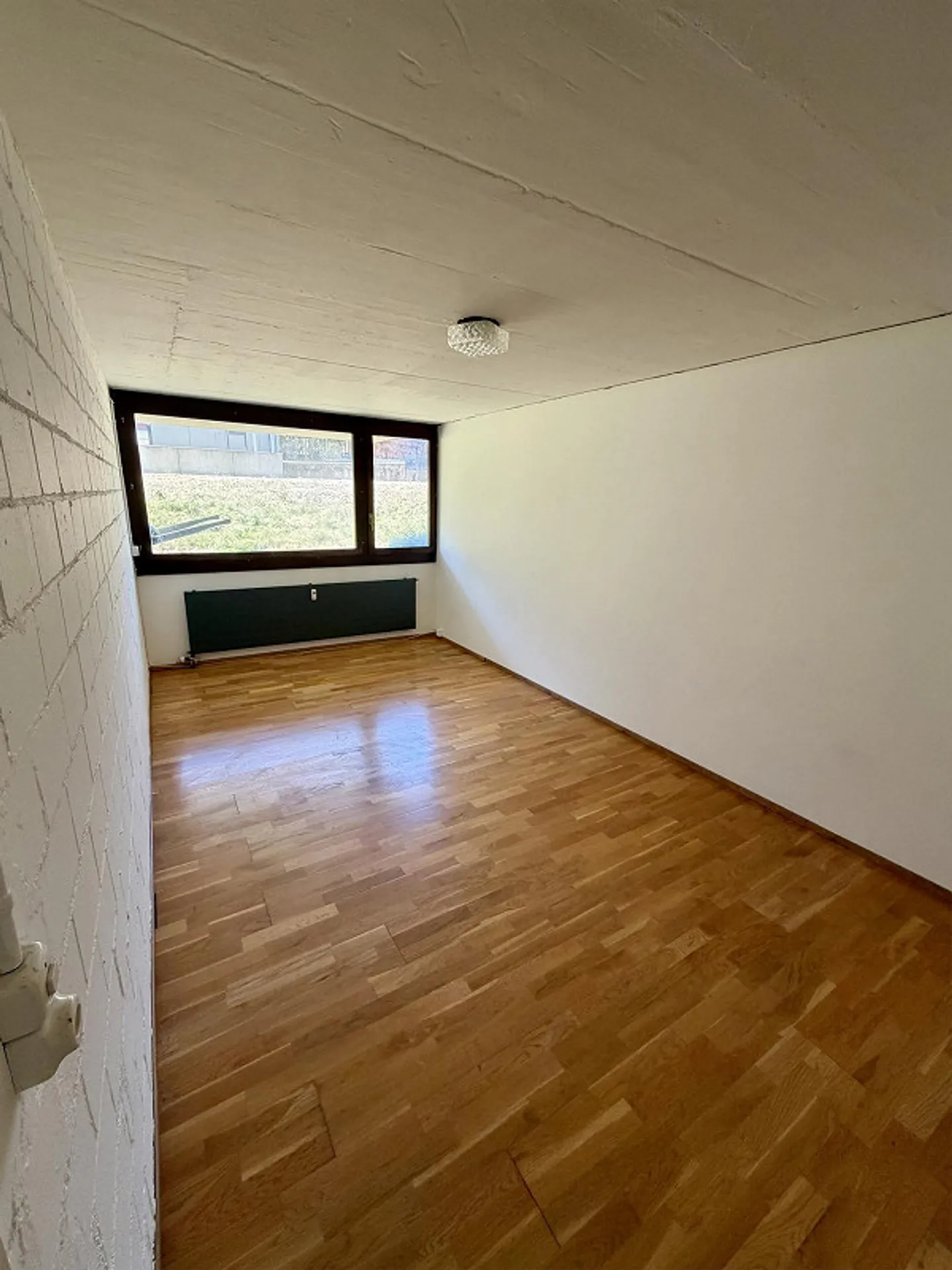 Appartamento Attico 3.5 stanze - Ristrutturato nel 2026 con grande terrazza circondata - Foto 14 di 18