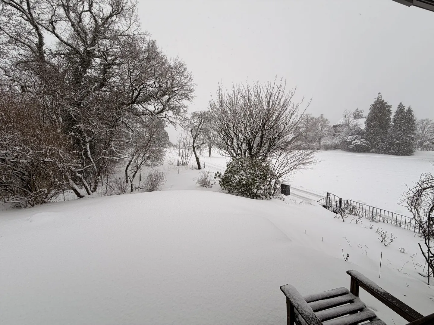 Stunning 5.5 Room Single Family House in a Quiet Location for Rent - Photo 10 of 19