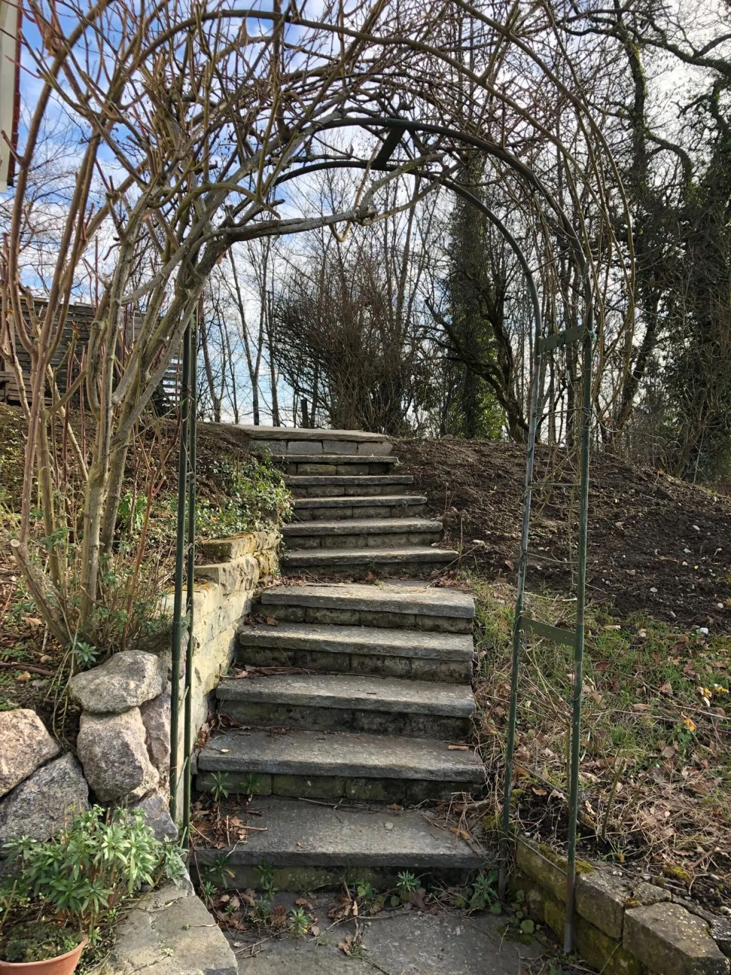 Stunning 5.5 Room Single Family House in a Quiet Location for Rent - Photo 13 of 19