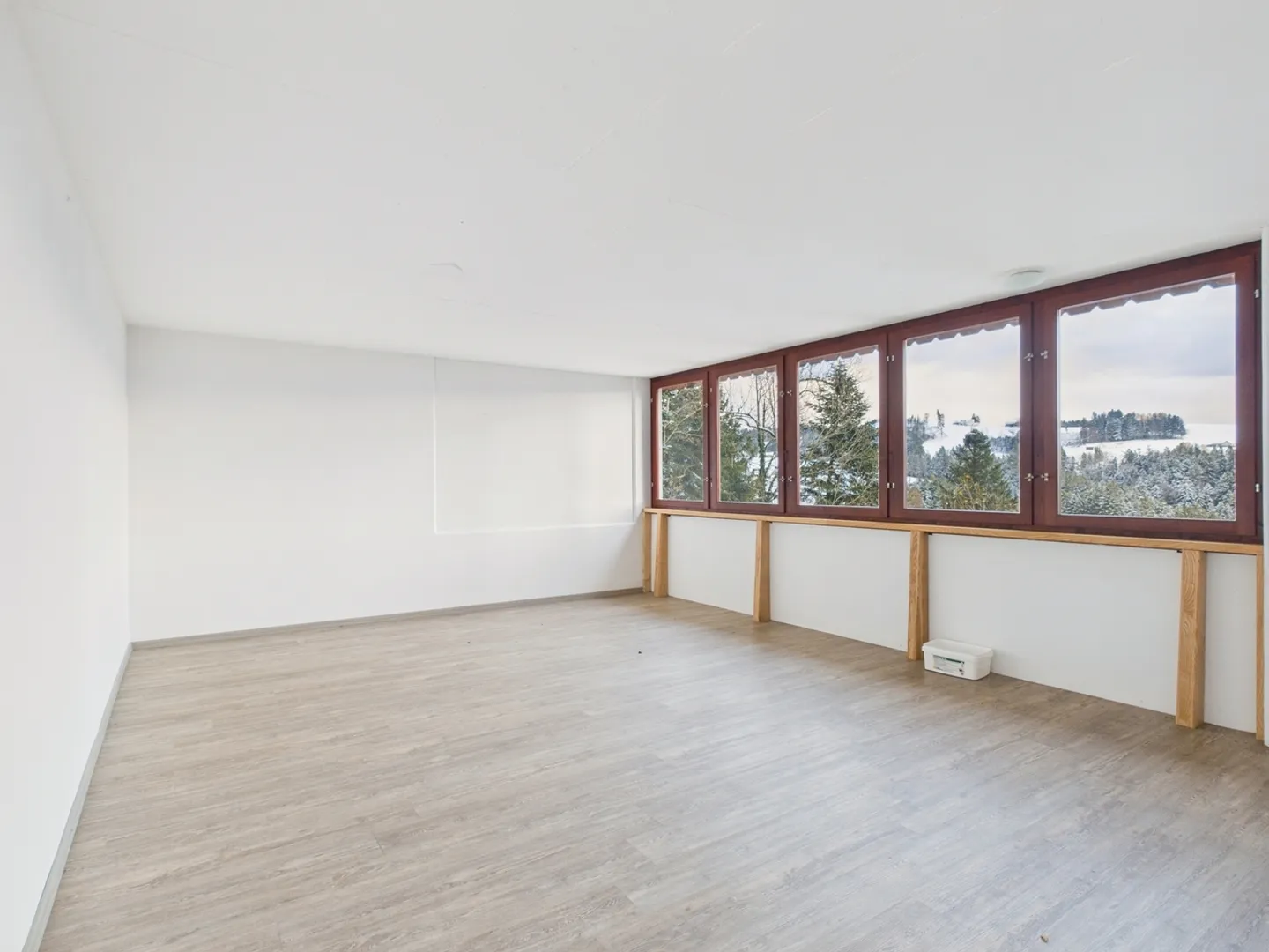 Charming 4.5-Room Apartment in Rehetobel, Canton AR - Photo 7 of 12