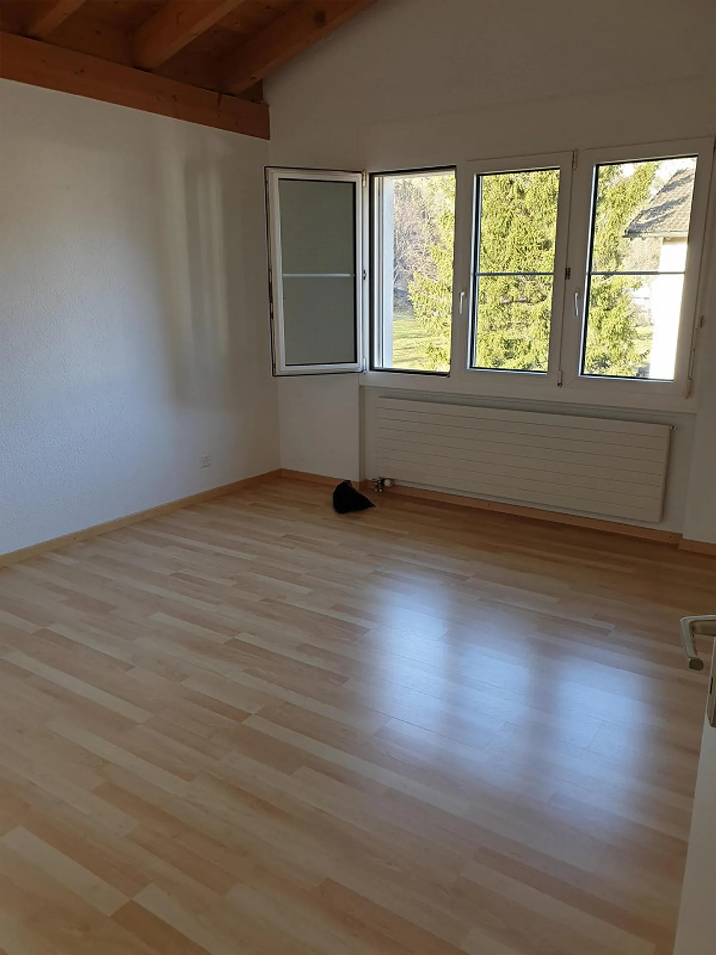 Appartamento soleggiato di 4 ½ stanze - Foto 2 di 7