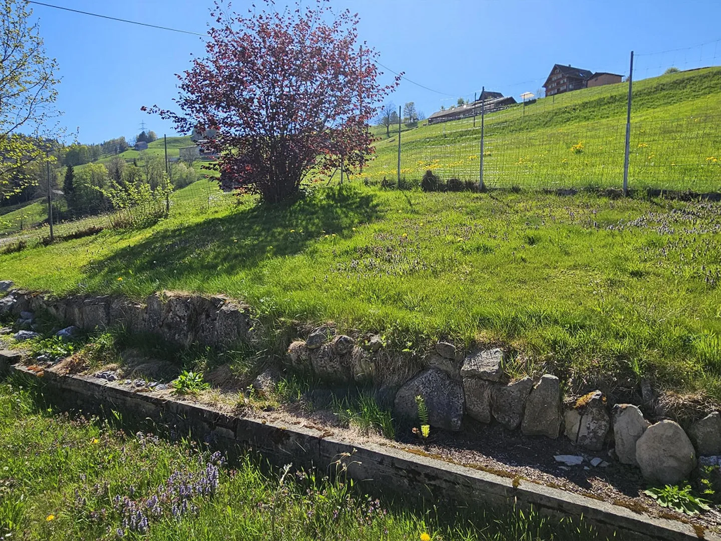 Maison individuelle dans un emplacement pittoresque, ensoleillé et calme - Photo 8 sur 29