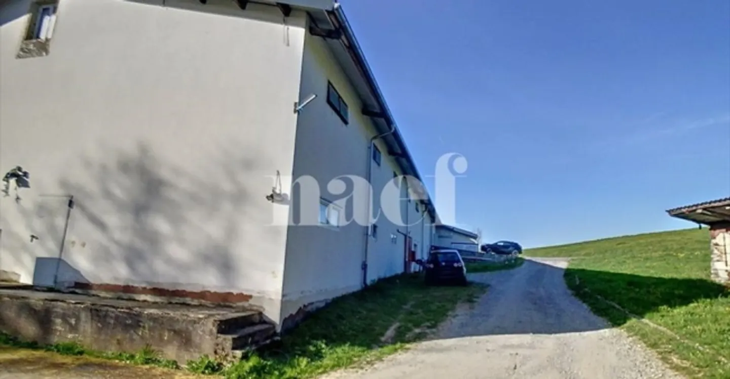 Spazio di archiviazione in affitto - Foto 12 di 13