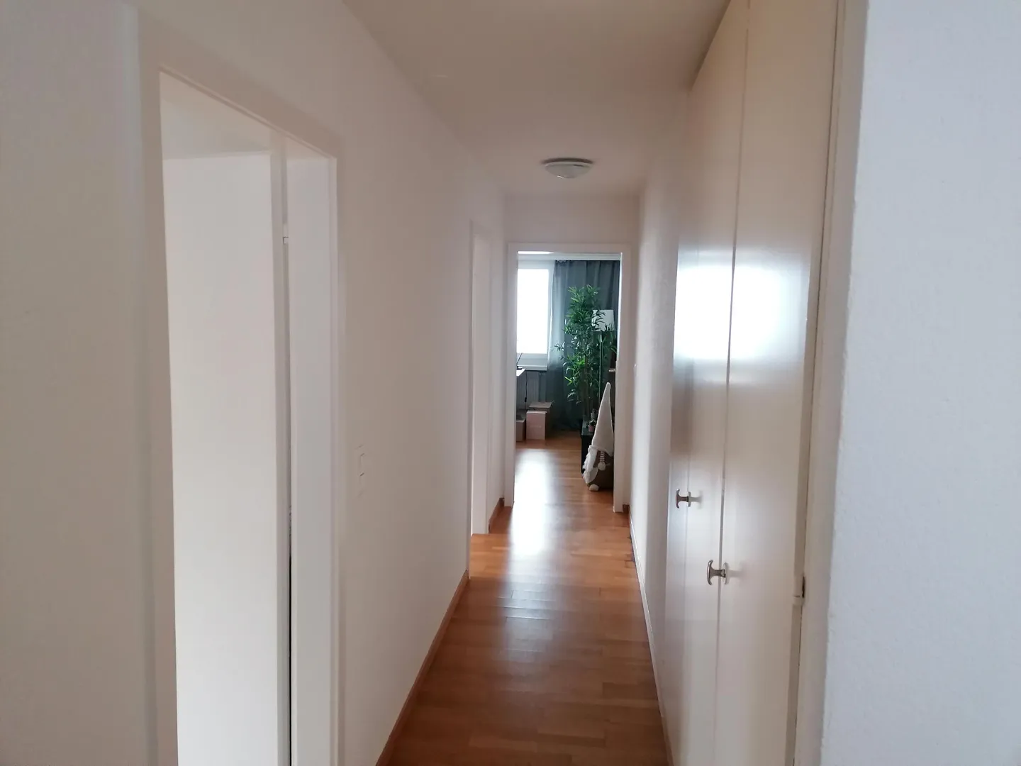 Appartamento luminoso e ben curato di 3,5 locali con balcone - Foto 3 di 7