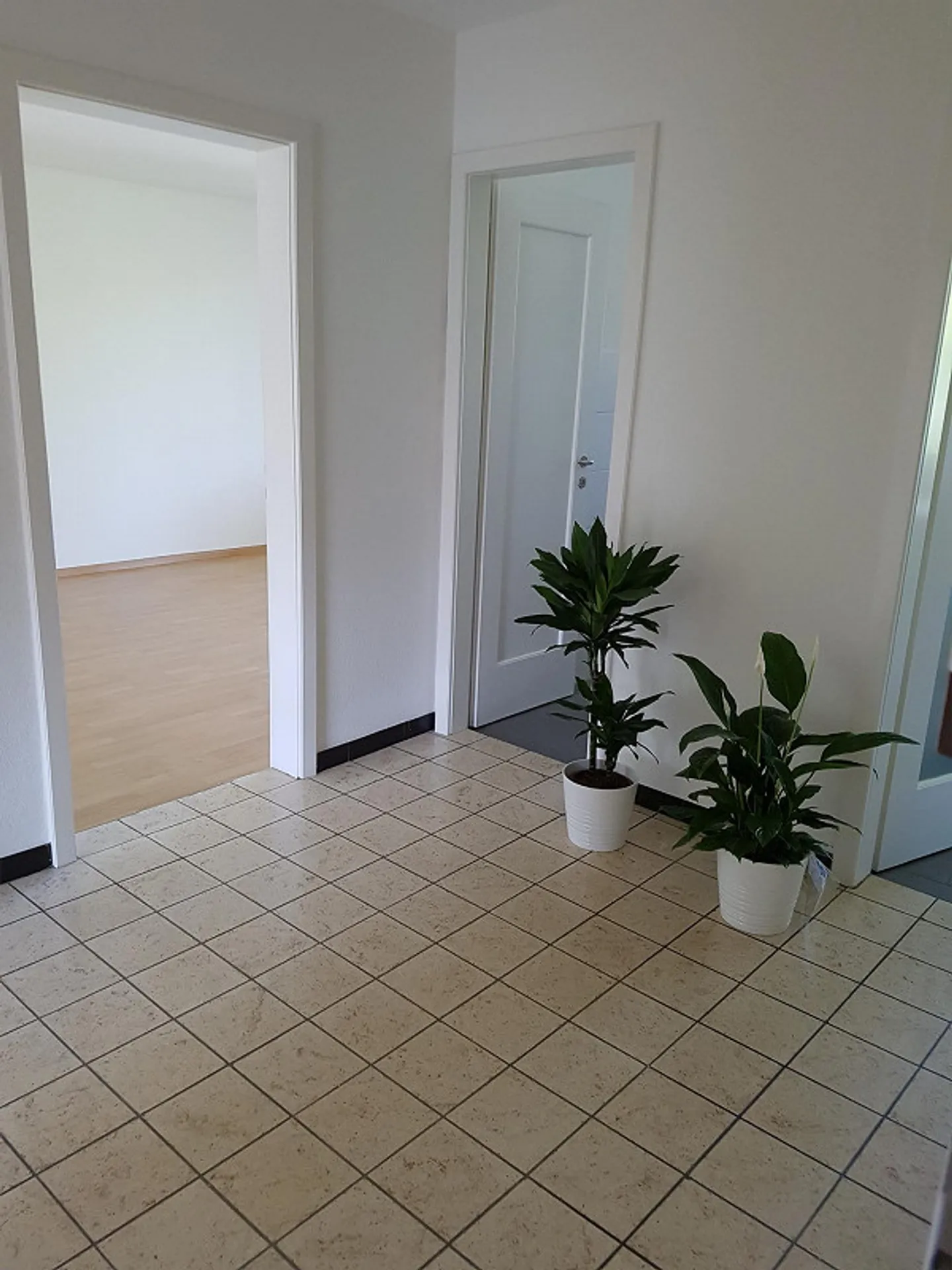 Geräumige 3,5-Zimmer-Wohnung - Foto 7 von 10