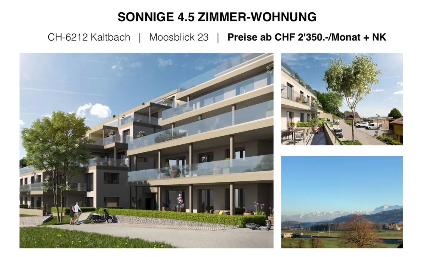 Appartement moderne de 4,5 pièces avec grande terrasse de jardin à Kaltbach - Photo 1 sur 7
