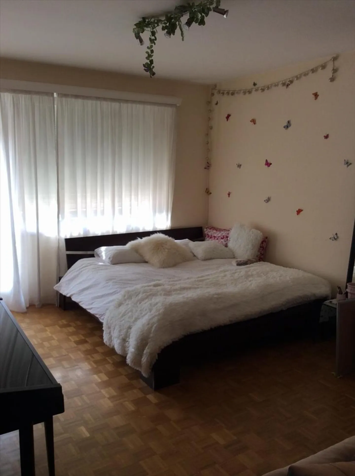 Beautiful 4 1/2 Room Furnished Contemporary in the Heart of Florissant - Photo 7 of 9