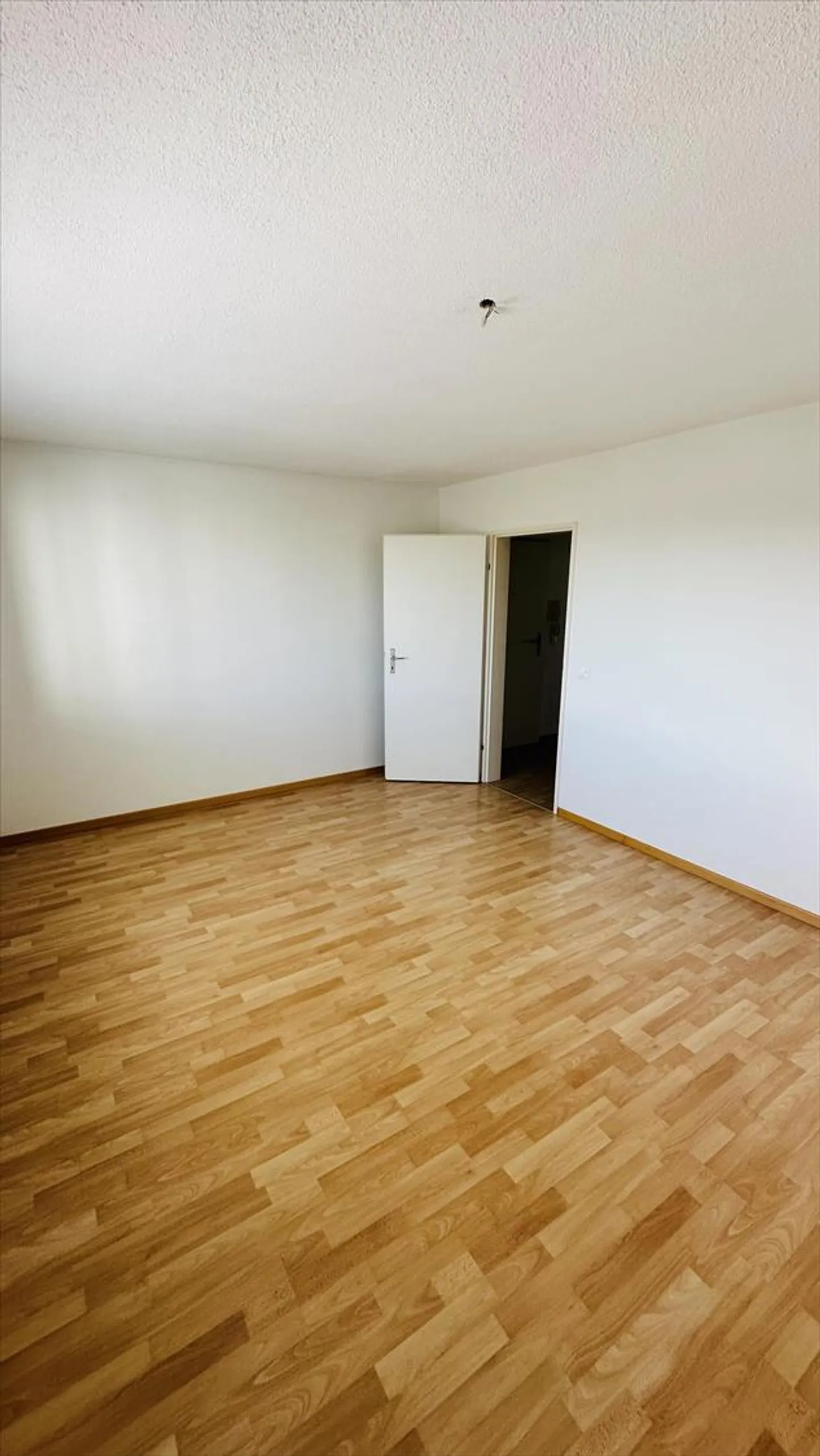 Appartement 2.5 pièces - Photo 4 sur 7