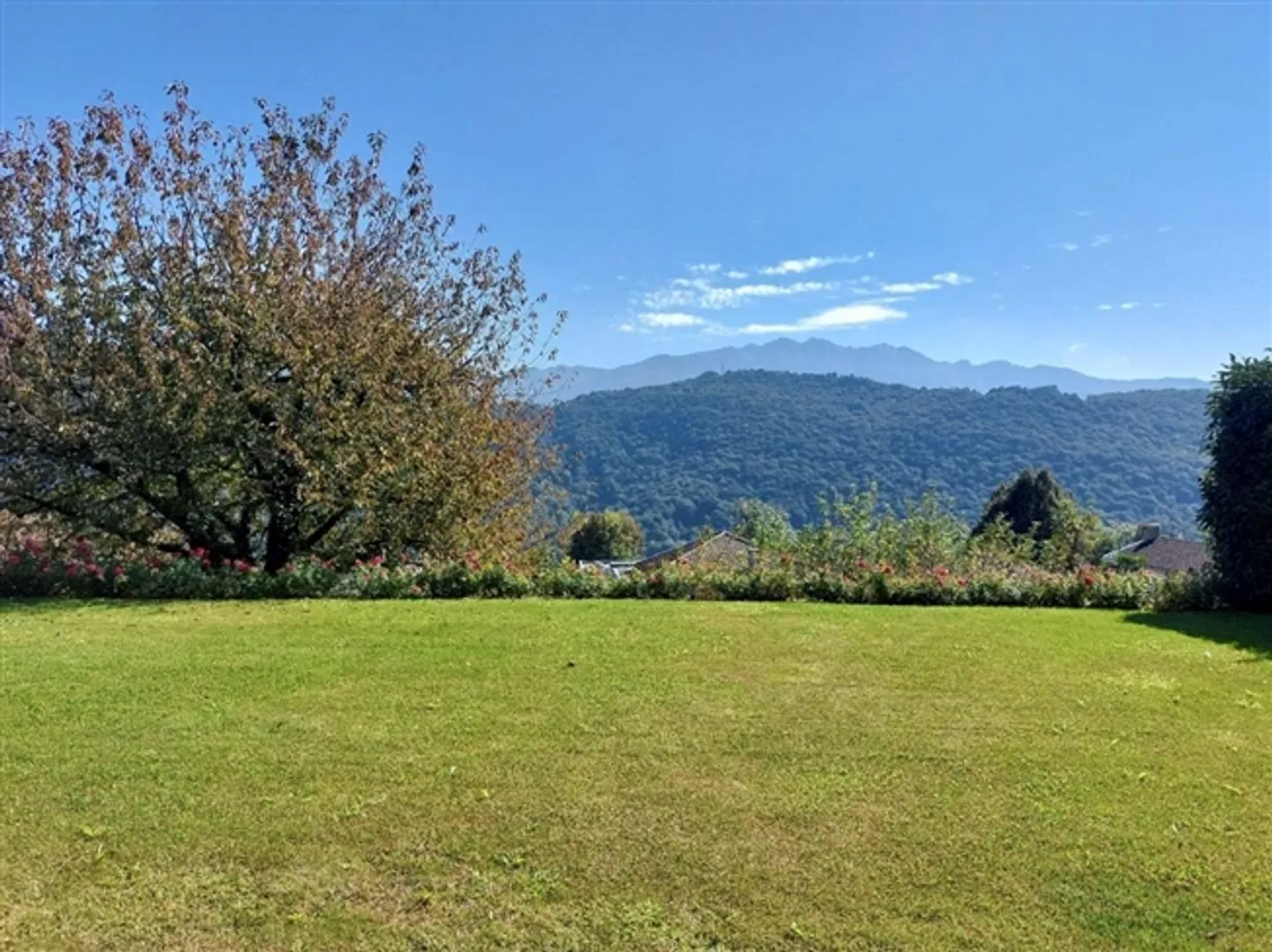 «Charmantes Tessinerhaus mit Weitblick und grossem Garten in Agra (Collina d’Oro)» - Foto 5 von 13
