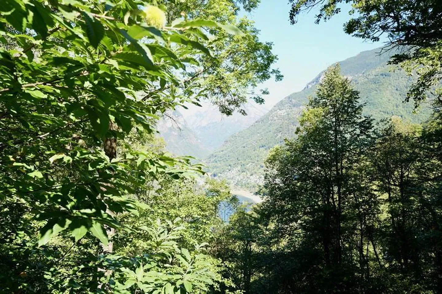 Rustique de 2 pièces avec patio et belle vue sur le lac - Photo 7 sur 17