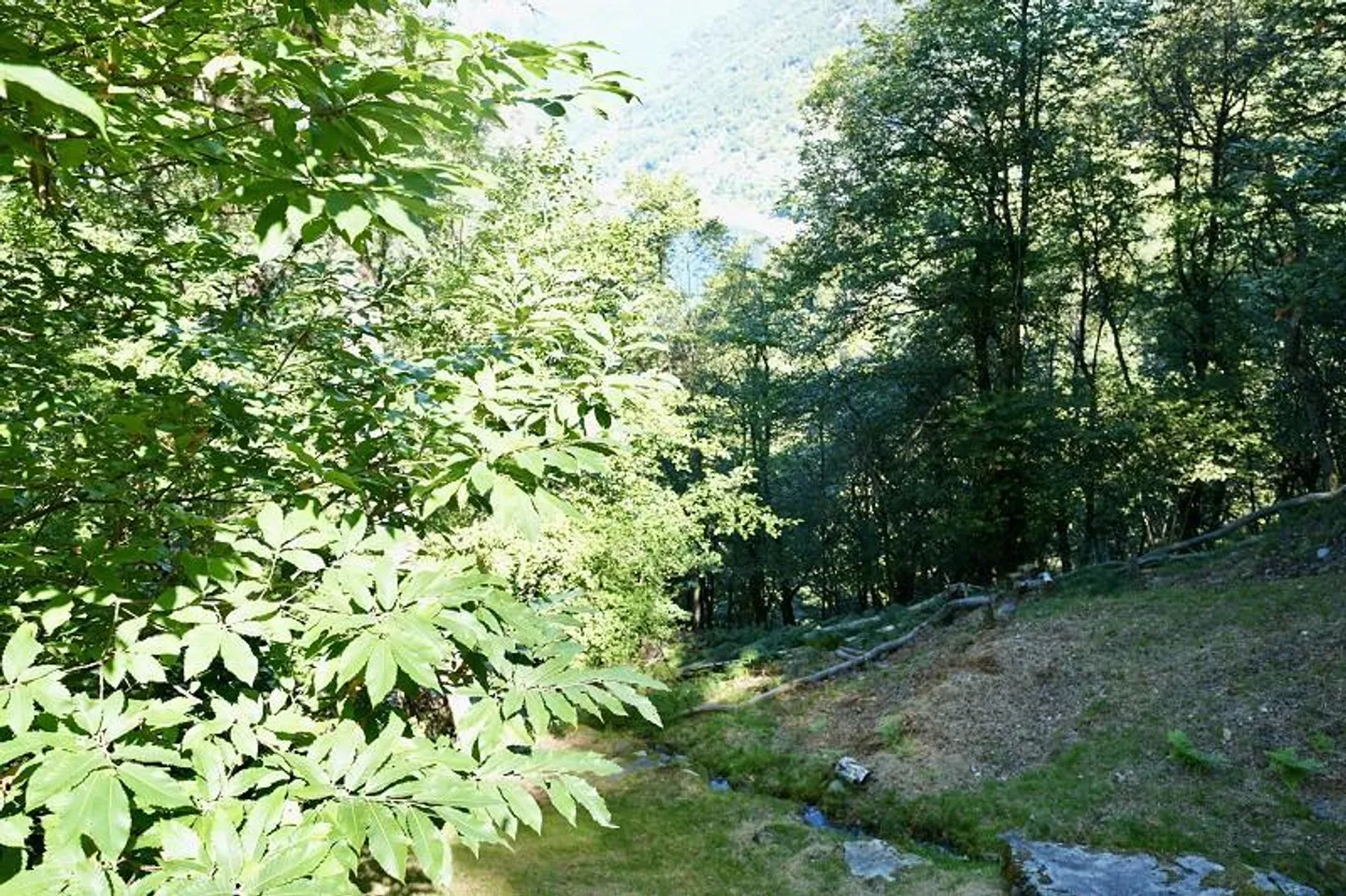 Rustique de 2 pièces avec patio et belle vue sur le lac - Photo 13 sur 17