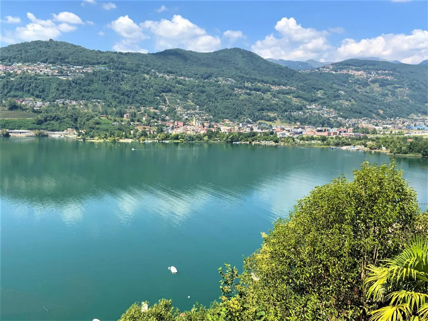 Villa lussuosa con vista mozzafiato immersa nel verde - Foto 6 di 6