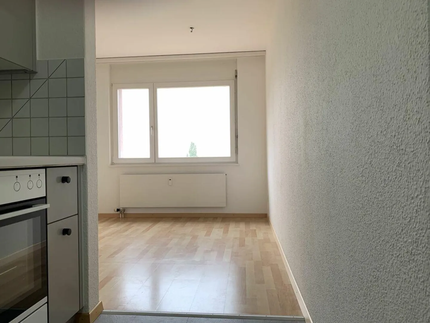 Appartement lumineux et spacieux de 4 1/2 pièces avec vue sur le lac - Photo 4 sur 12
