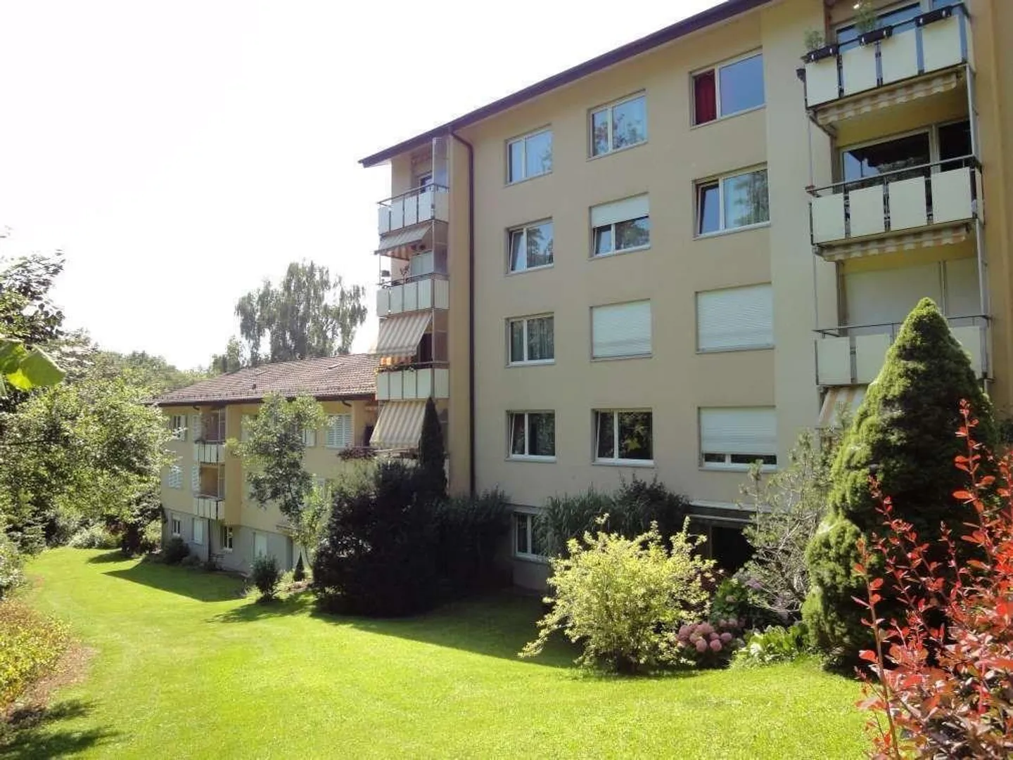 Charmante Wohnung an der Limmat - Foto 1 von 5