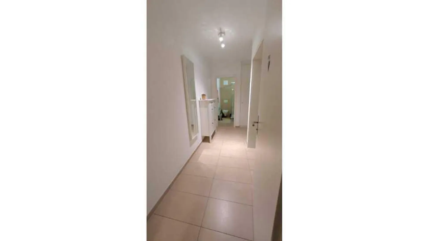 Stunning Attic Apartment in Basel - Photo 9 of 10