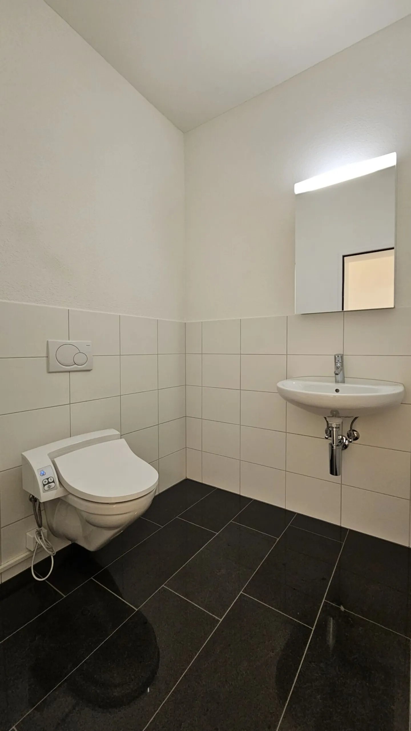 Your company headquarters in the representative business park in the tax-privileged municipality of Freienbach - Photo 10 of 14