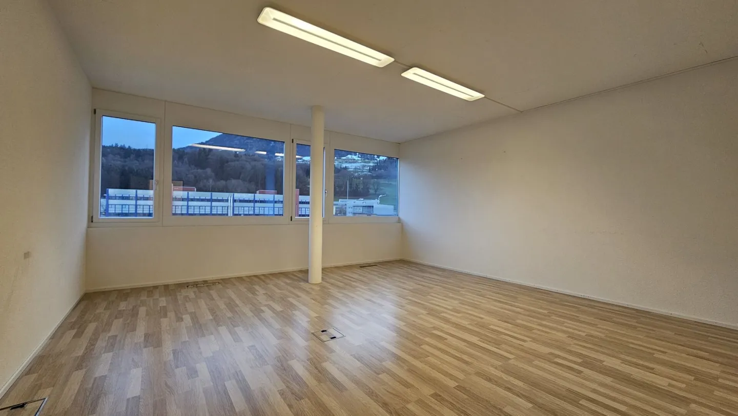 Your company headquarters in the representative business park in the tax-privileged municipality of Freienbach - Photo 11 of 14