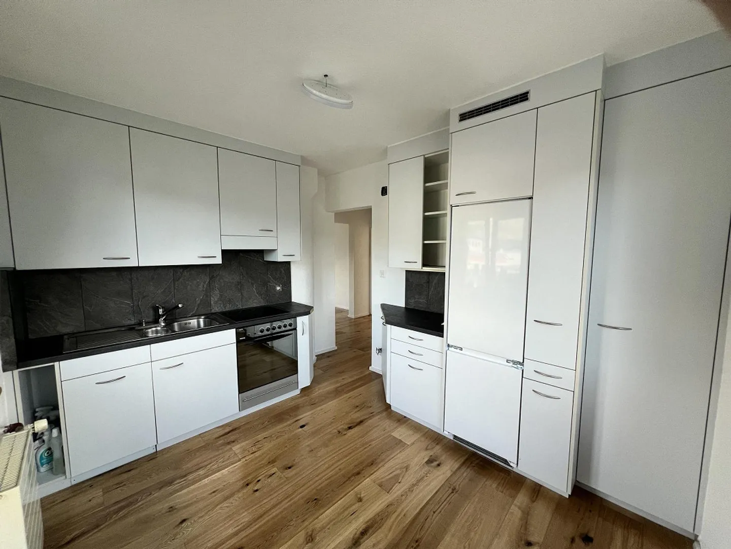 3.5 Room Apartment Freshly Renovated in Prime Location - Photo 6 of 7