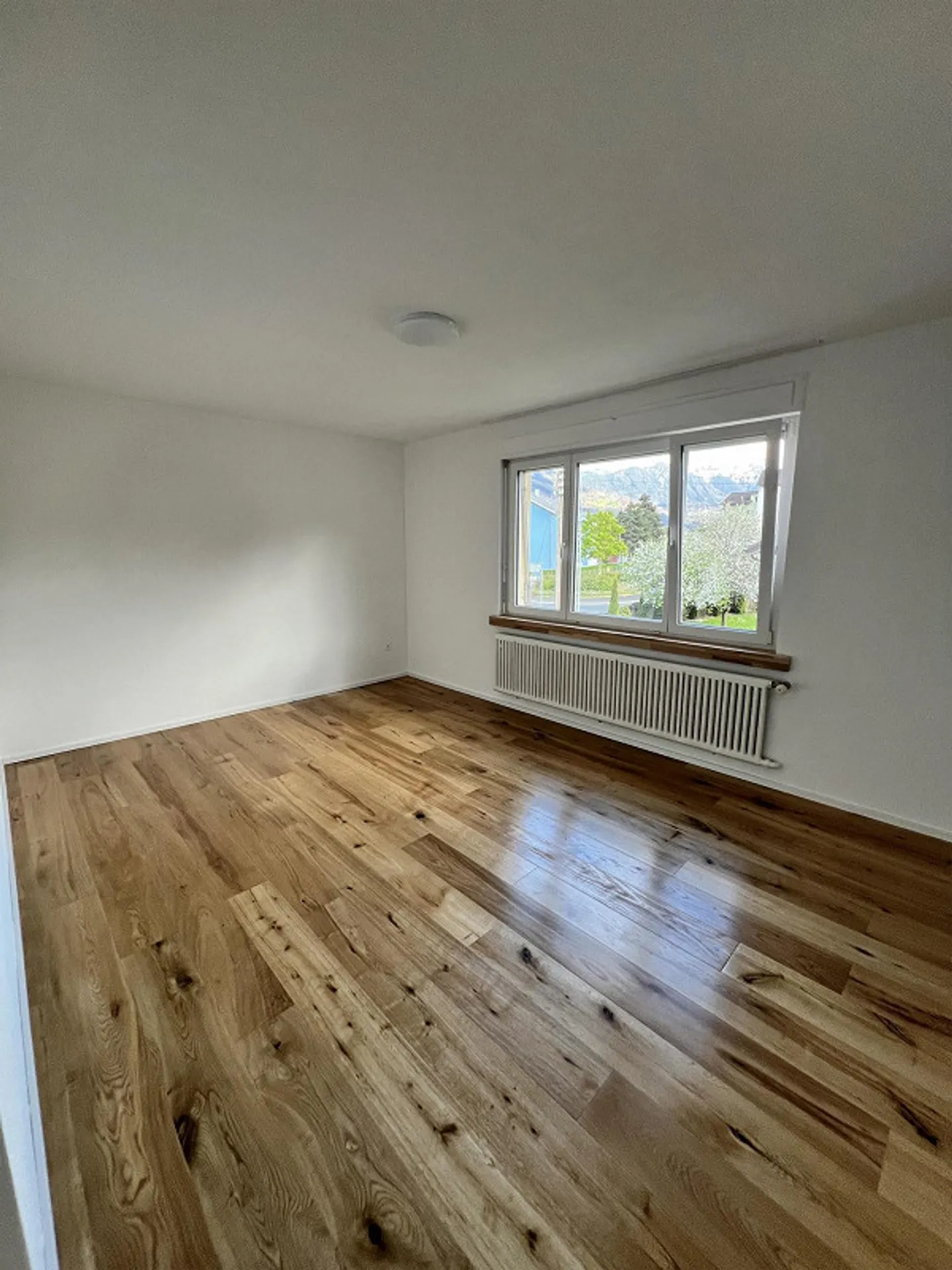 3.5 Room Apartment Freshly Renovated in Prime Location - Photo 2 of 7