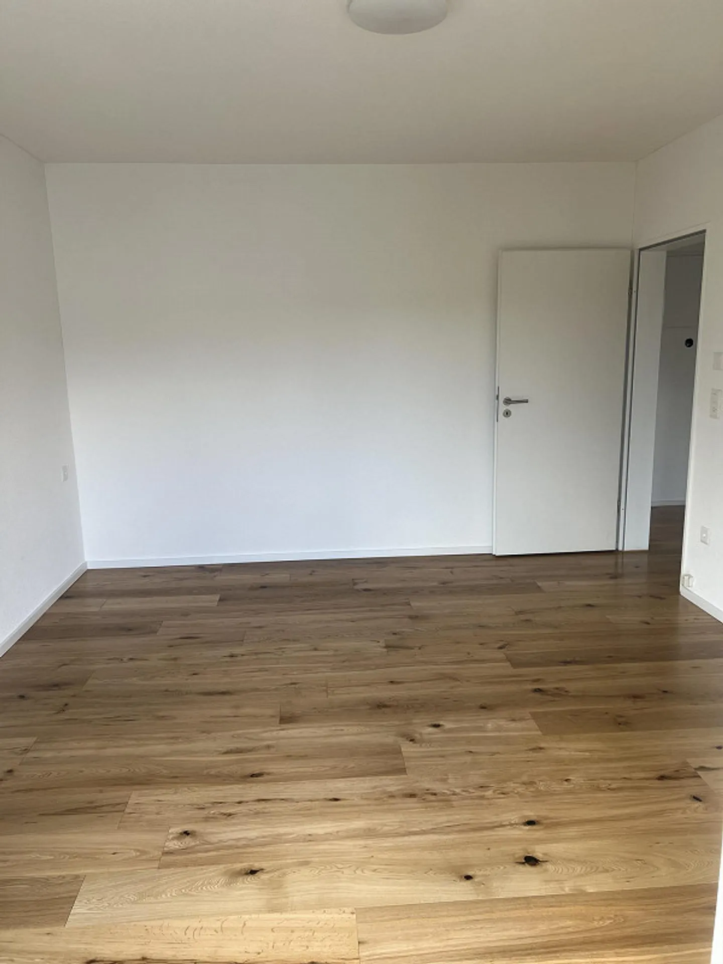 3.5 Room Apartment Freshly Renovated in Prime Location - Photo 3 of 7