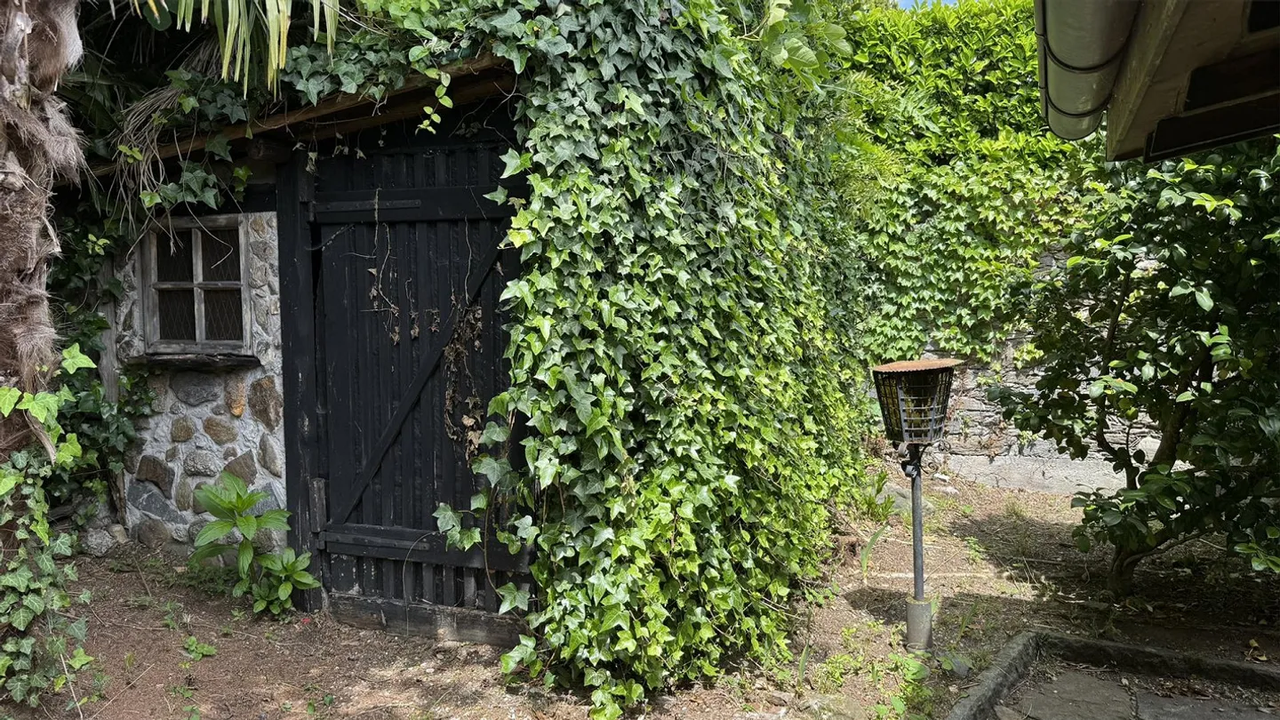 Maison 3 1/2 pièces - Photo 16 sur 17