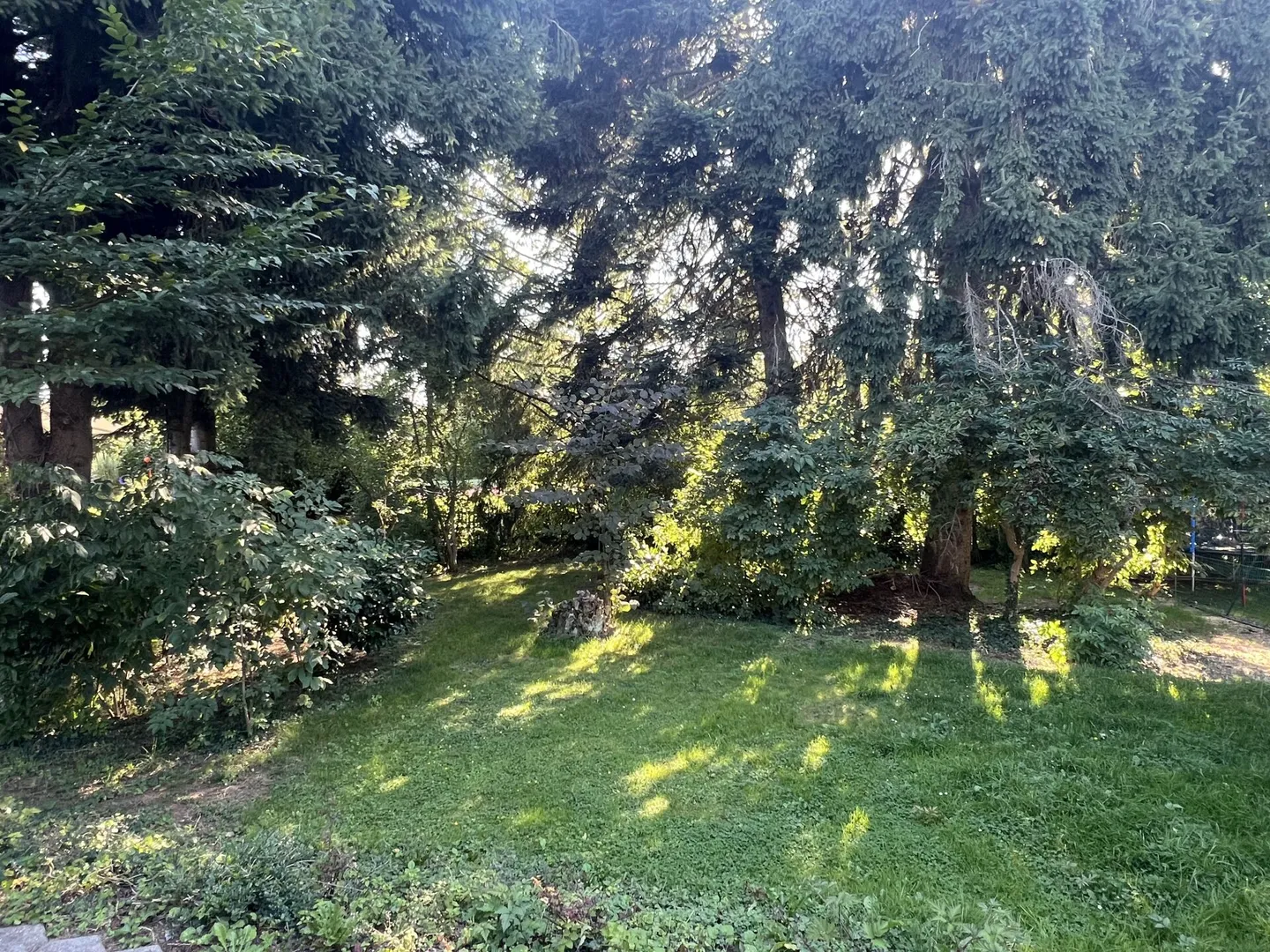 Casa unifamiliare di 5,5 stanze con fascino, grande giardino e posizione centrale a Derendingen! - Foto 3 di 17