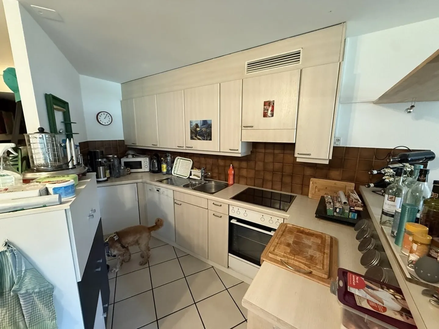Charmante Wohnung mit Garten - Foto 4 von 8
