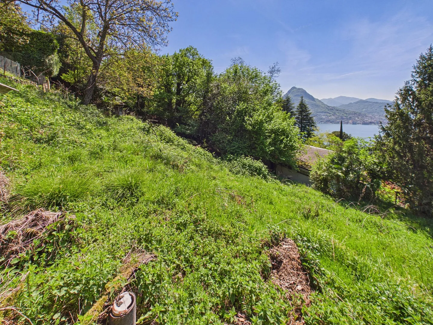 Large building plot in a quiet area, Viganello - Photo 4 of 11