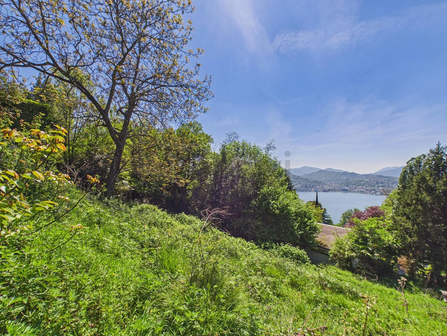 Large building plot in a quiet area, Viganello - Photo 5 of 11